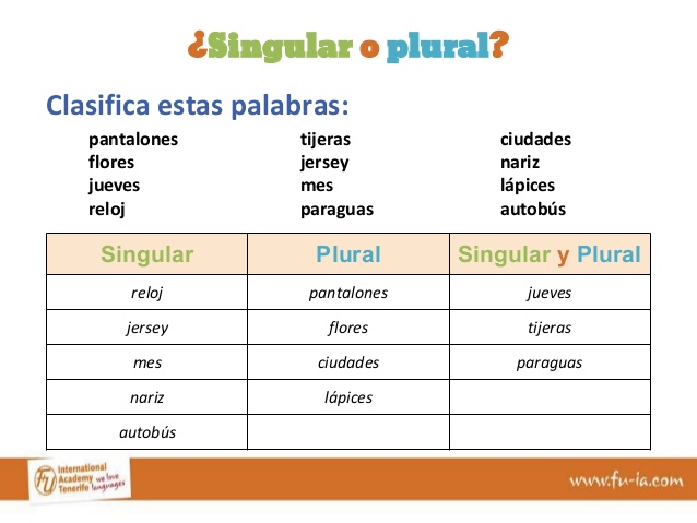 singular-and-plural-nouns-rules-and-example-englishan-singular-and